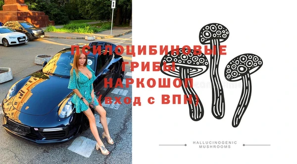 ALPHA PVP Алзамай