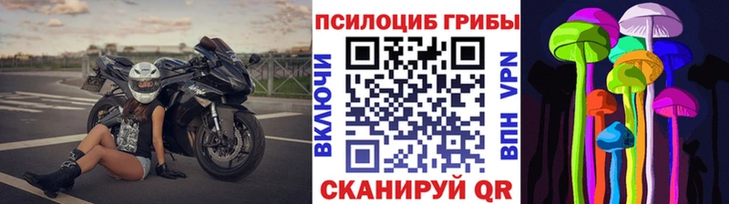 мориарти официальный сайт  Ковылкино  Галлюциногенные грибы прущие грибы  сколько стоит 