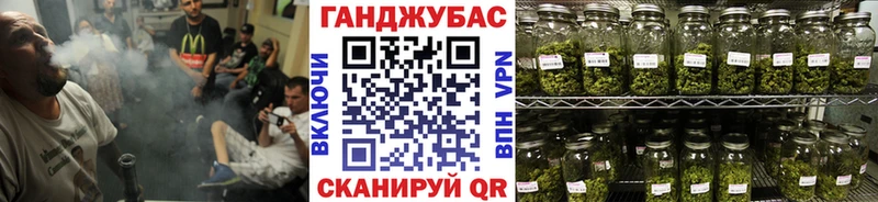 мега вход  наркотики  Ковылкино  Бошки марихуана планчик 